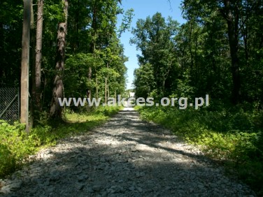 Działka budowlana Sękocin Stary