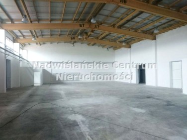 Budynek użytkowy Brzezie wynajem