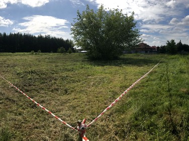 Działka budowlana Sulejówek