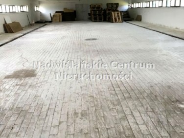 Budynek użytkowy Brzezie wynajem