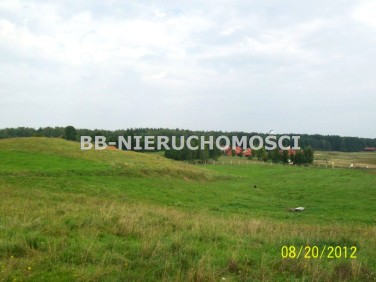 Działka rolna Woryty