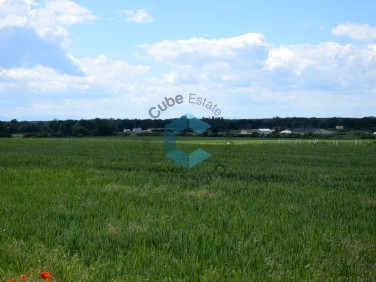 Działka budowlana Szewce sprzedam