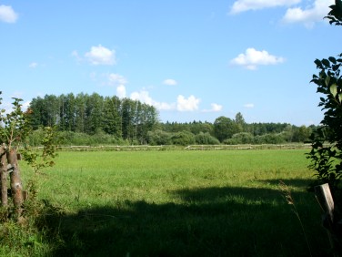 Działka budowlana Białowieża