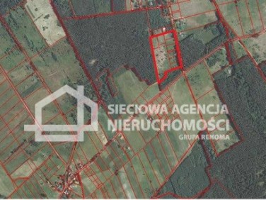Działka siedliskowa Szczenurze