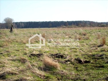 Działka rolna Nowęcin