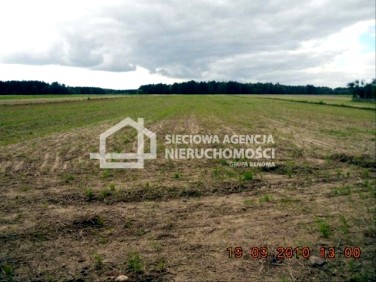 Działka rolna Góra