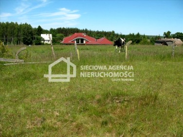 Działka budowlana Szczenurze