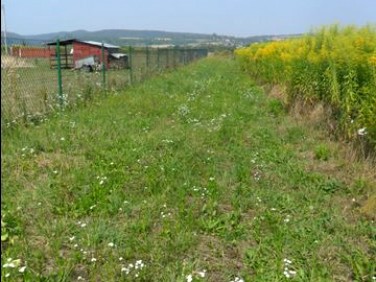 Działka budowlana Pisary