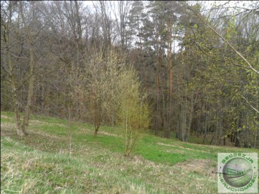 Działka budowlana Kleszczów