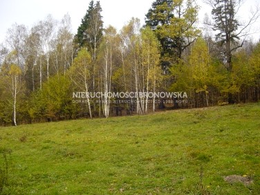 Działka usługowa Wilkowice