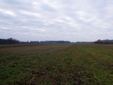 Działka budowlana Kleszczów