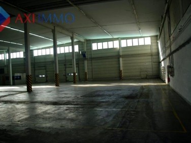 Budynek użytkowy Nadarzyn wynajem