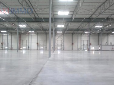 Budynek użytkowy Grodzisk Mazowiecki wynajem