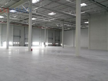 Budynek użytkowy Duchnice wynajem