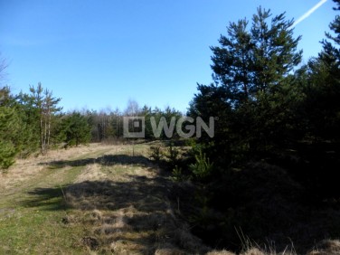 Działka budowlana Ludwinów