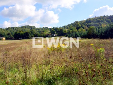 Budynek użytkowy Ludwinów