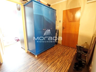 Mieszkanie Zielona Góra