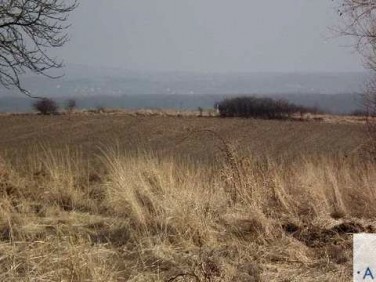 Działka Siadło Dolne