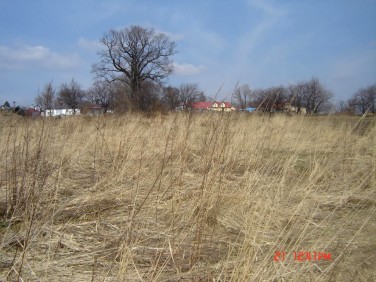 Działka budowlana Libertów