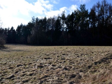 Działka budowlana sprzedam