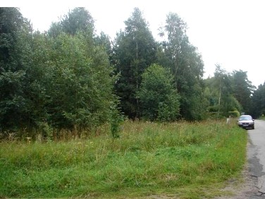 Działka rekreacyjna Lubiatowo