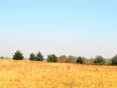 Działka budowlana Grajewo