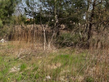 Działka budowlana Rybojedzko sprzedam