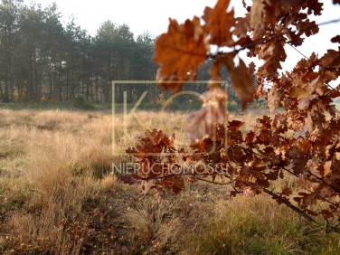 Działka budowlana Koleczkowo