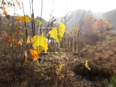 Działka budowlana Koleczkowo