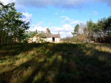 Działka siedliskowa Góra