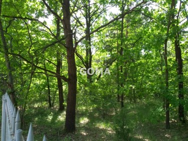 Działka budowlana Warszawa sprzedam