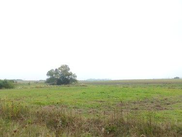 Działka rolna Przylep