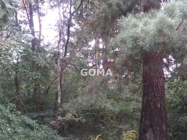 Działka budowlana Sulejówek sprzedam