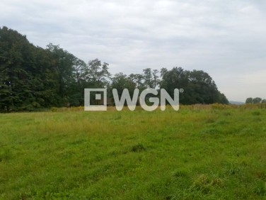 Działka budowlana Pisary