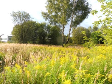 Działka budowlana Będzin