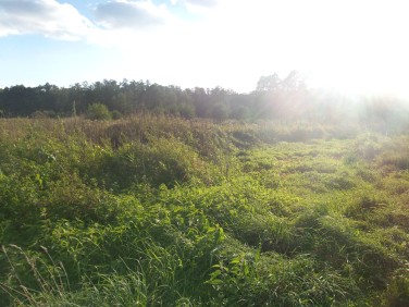 Zabudowana działka Płoty