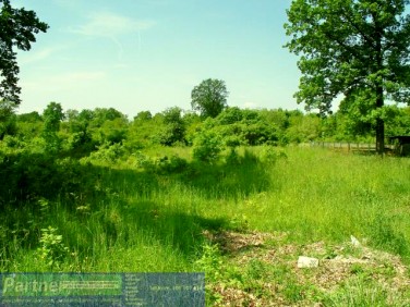 Działka budowlana Mazurowice