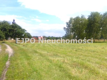 Działka budowlana Jodłowice