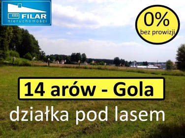 Zabudowana działka Gola