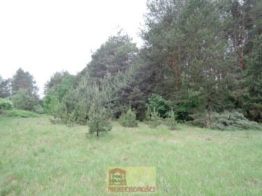 Działka rekreacyjna Klwów