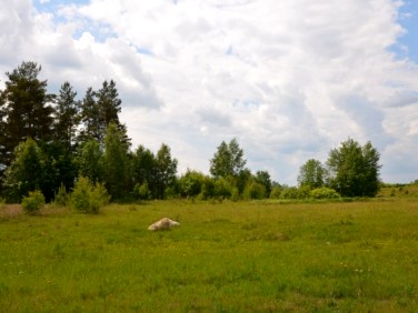 Działka budowlana Błotnia