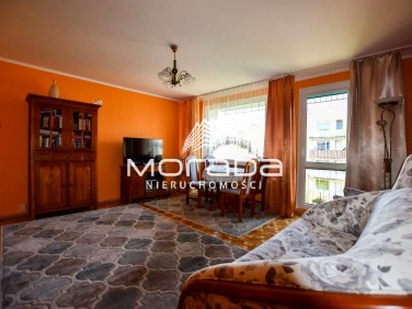 Mieszkanie Zielona Góra