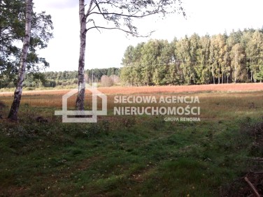 Działka budowlana Dąbki