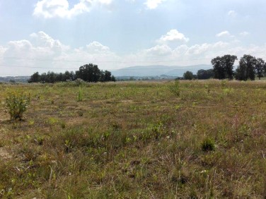 Działka przemysłowa Bielsko-Biała