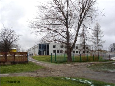 Budynek użytkowy Górowo Iławeckie