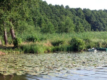 Działka budowlana Lubrza