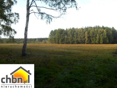 Działka budowlana Dąbki