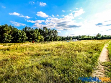 Działka budowlana Bogusze