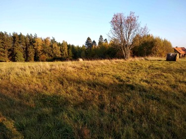 Działka budowlana Mierzeszyn