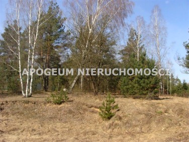 Działka budowlano-rolna Sochonie